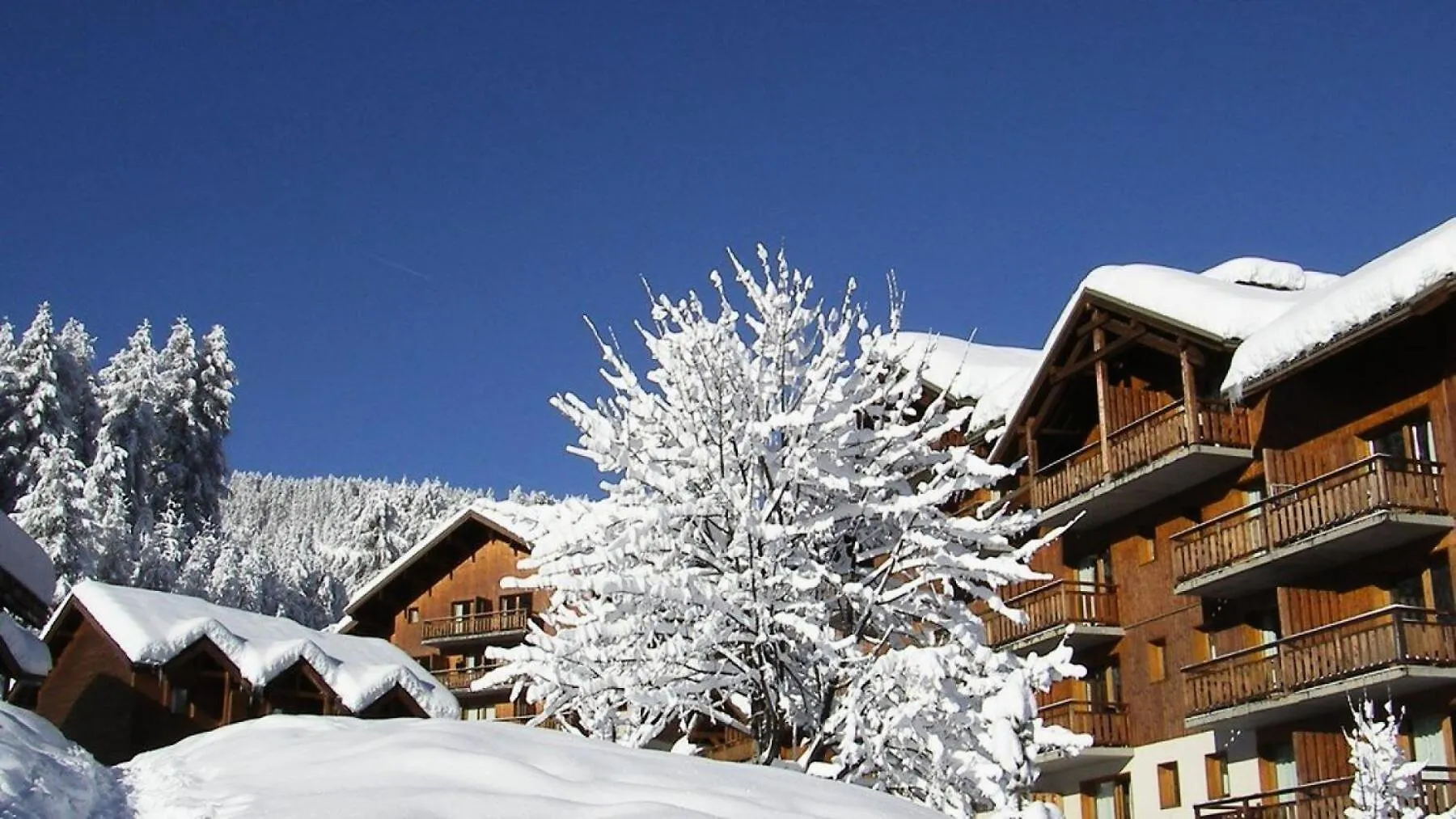 Residence Parc Aux Etoiles - Parc Aux Etoiles -Ch07- Avec Piscine Et Sauna-Chalet Dup Mae-2214 Chalet Narreyroux